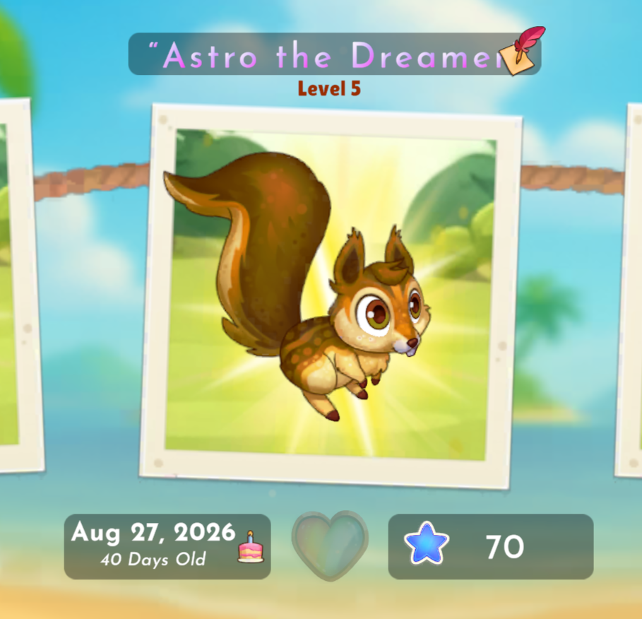 Squirrel 16