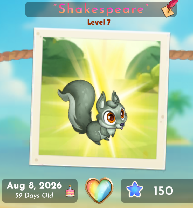 Squirrel 17