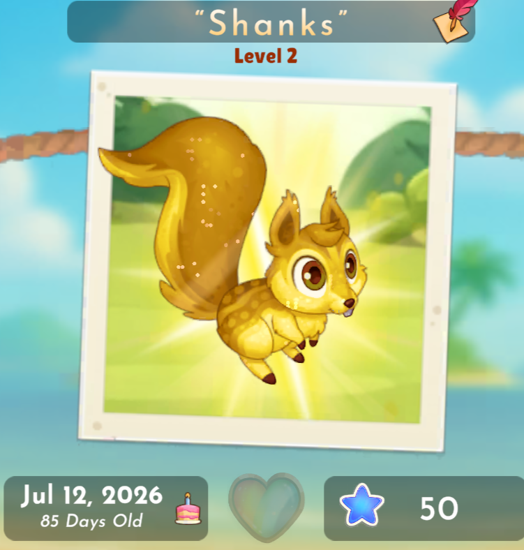 Squirrel 18