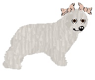 petz25.jpg
